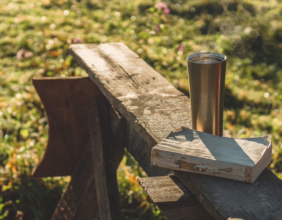 insulated tumbler