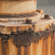 rusty equipment